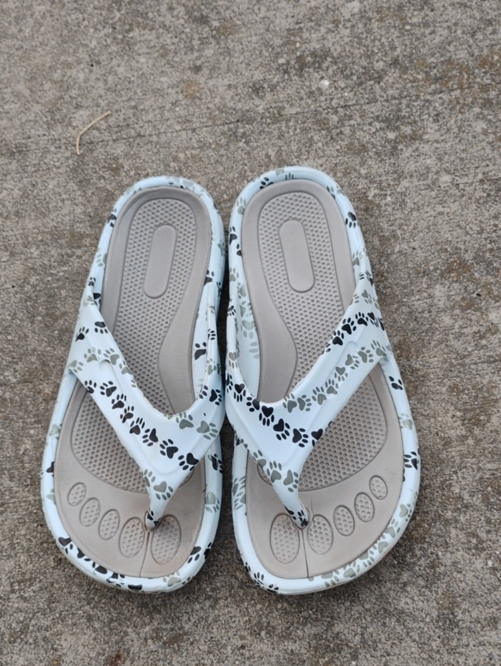 Women's Dog Print Flip Flop Beach/Poolside Sandals
